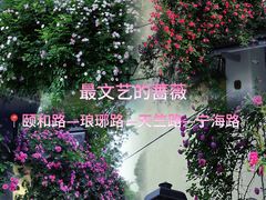 -颐和路民国时期公馆风貌区