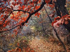 -云峰山自然风景区