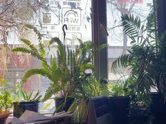 -哈尔滨北方国际青年旅舍(中央大街店)