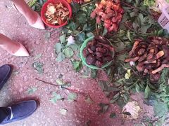 -云海肴·汽锅鸡·云南菜(天山百盛优客店)