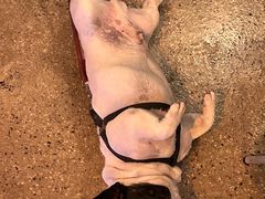 -Burger Bar 山沐西餐吧(钟村店)