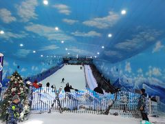 -世界之窗阿尔卑斯冰雪世界