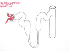 -演武大桥观景平台