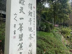 -重庆彩云湖湿地公园