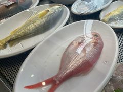 -华盛丰温州大排档(东三环南路店)