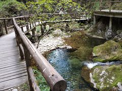 -牛背梁国家森林公园
