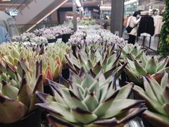 -鹿岛生活(熙地港店)