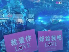 -成都浩海立方海洋公园