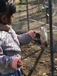 -萌宠亲子动物乐园(槐房万达店)