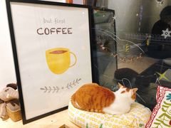 -W Coffee(船板巷店)