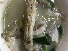 -蛇口康乐快餐鱼仔档(翠苑小区店)