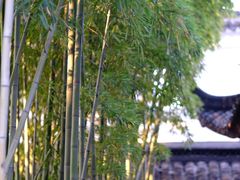 -吴门人家·苏宴宫廷菜(拙政园店)