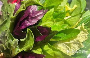 Spring Vegetables Platter