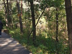 -帽儿山国家森林公园