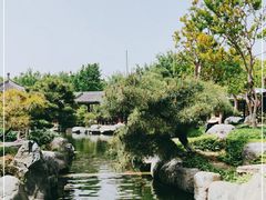 -中国唐苑