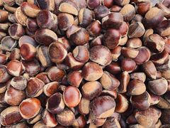 -红星农博物流中心