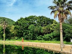 -普陀山风景名胜区-千步大沙