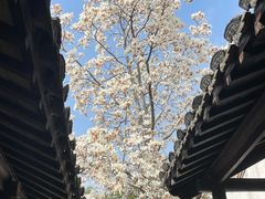 -常熟方塔园