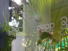 -gaga(深圳南山益田假日广场店)
