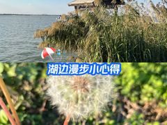 -阳澄湖半岛旅游度假区