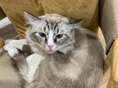 -白兔子密室(长寿路店)