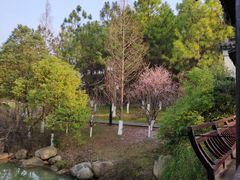 -八大山人梅湖景区