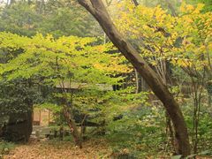-穹窿山景区