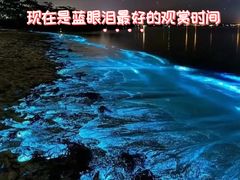 -坛南湾阿强农家乐.海鲜大排档老字号(福州地标美食店)