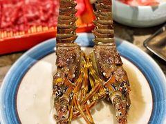 -亚马逊蒸汽活海鲜自助(LCM置汇旭辉广场店)