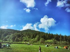 -武陵山森林公园
