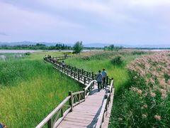 景点-野鸭湖国家湿地公园
