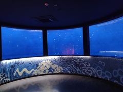 -沈阳海洋探索中心