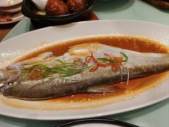 石臼湖鸡汁白鱼-应天大明王朝·南京菜(中山陵店)