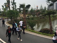 -枫香湖儿童公园