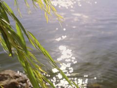 -小普陀