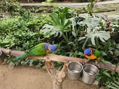 -南宫五洲植物乐园