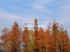 -飞来湖湿地公园