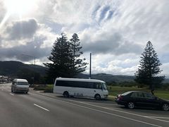 -Dooley's Premium Ice Cream