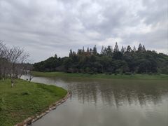 -上海海湾国家森林公园