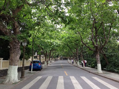 iphone_upload_pic-八大关景区