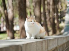 -四门塔风景区