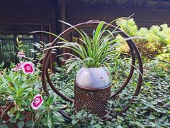 -乾园.魏庐湖景餐厅(花港店)