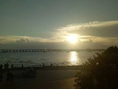 -宝安西湾红树林湿地公园