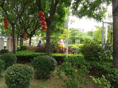 -荔湾区儿童公园