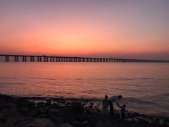 -宝安西湾红树林湿地公园