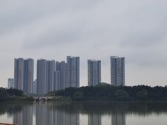 -广东花都湖国家湿地公园
