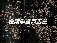 -南京晨光1865创意产业园