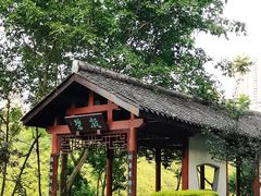 -重庆彩云湖湿地公园