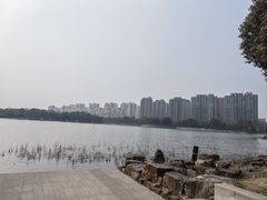 -南翔镇银翔湖公园
