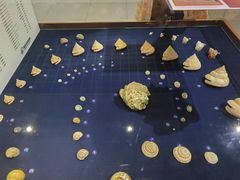 -青岛贝壳博物馆